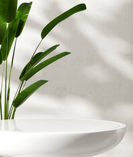 istock White round glossy pedestal side table podium, green tropical banana tree in sunlight, shadow on cement wall 1617873038