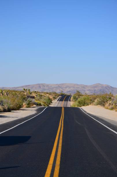 istock Deserted road in a vast desert landscape, illuminated by the bright sunlight 1617879071