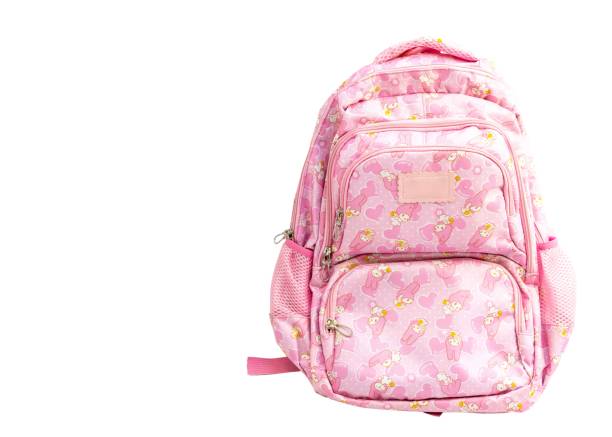 istock Comfortable pink fashion doll theme school backpack for girls with beautiful patterns and design on white isolated background with copy space 1617879604