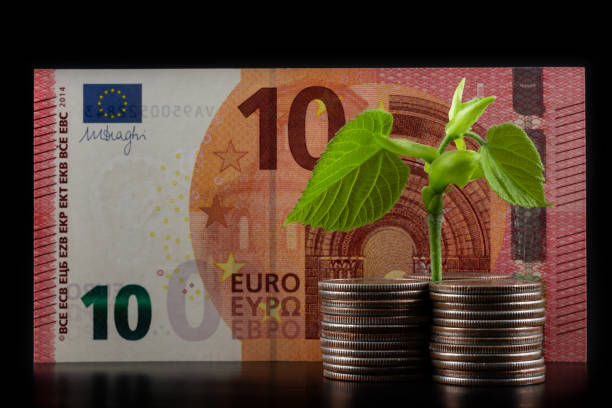 Young sprout, coins and 10 euro banknote