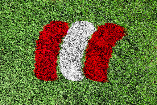 Close up of Peru flag colors red  and white painted on grass field