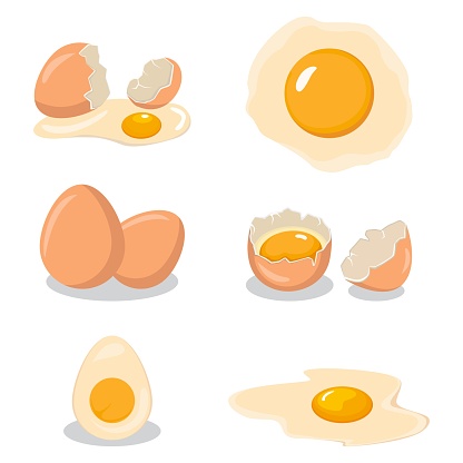 Collection of whole eggs, broken eggs, fried eggs, yolks, eggshells and boiled eggs isolated on white background