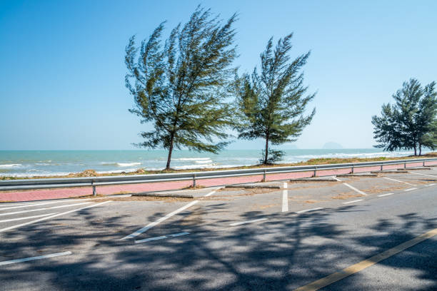 espaço vazio ao ar livre, asfalto, estacionamento, praia à beira-mar no parque nacional. - beach parking lot car equipment - fotografias e filmes do acervo