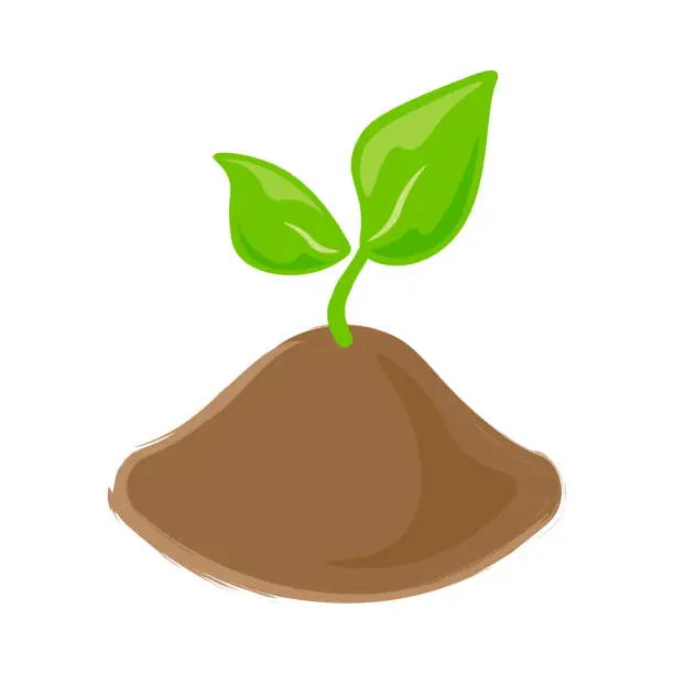 Vector illustration of Soil with Plant.
