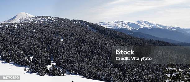 Karpaten Im Winter Stockfoto und mehr Bilder von Abenteuer - Abenteuer, Berg, Blaufichte