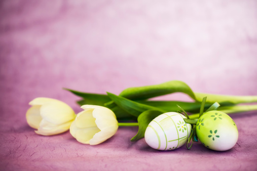 easter eggs with white tulips on purple background - selective focus