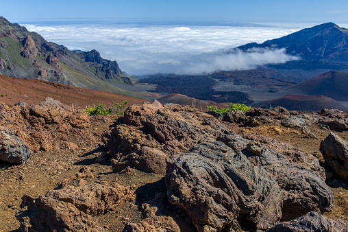 Lava in the Volcanic Rock Field, Haleakala National Park, Maui, Hawaii.