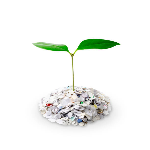 istock Sprout emerging from paper waste on white background 1617990622