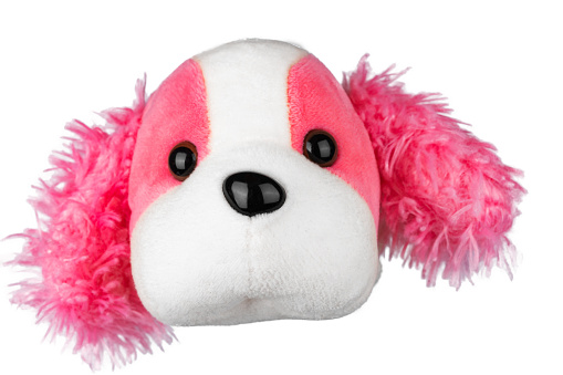 stuffed toy, pink dog with long fluffy ears, isolated