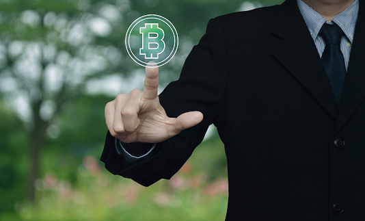 Businessman pressing bitcoin icon over blur flower and tree in park, Choosing bitcoin concept