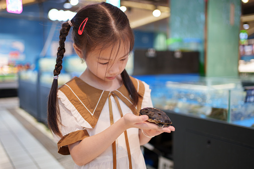 child holding a little turtle