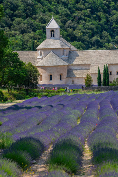 istock Senanque Abbey Gordes Provence Lavender fields, Notre-Dame de Senanque 1618096952