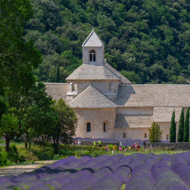 istock Senanque Abbey Gordes Provence Lavender fields, Notre-Dame de Senanque 1618099534