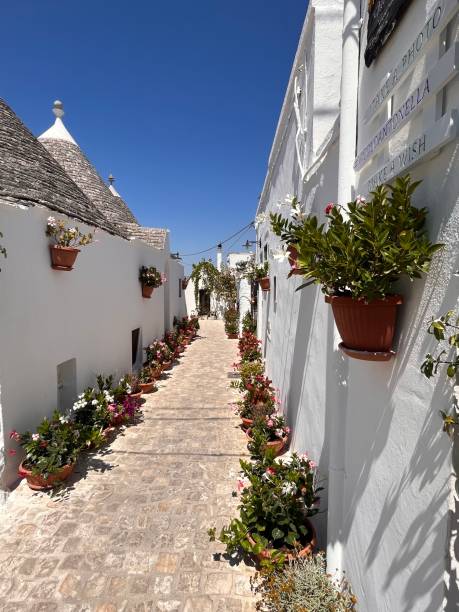 istock Beautiful Alberobello and trulli, Puglia , Italy 1618100038