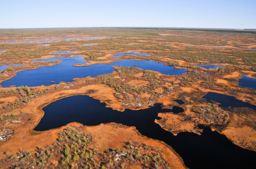 Autumn. Marshy tundra. Western Siberia, KhantyMansiysk Autonomous Okrug.