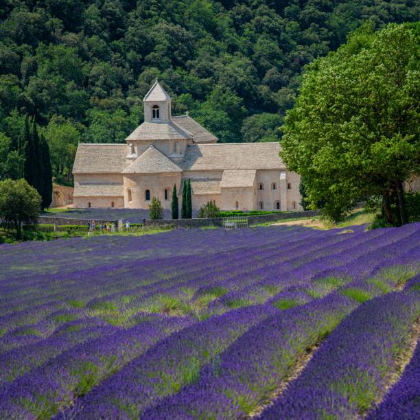 istock Senanque Abbey Gordes Provence Lavender fields, Notre-Dame de Senanque 1618104456