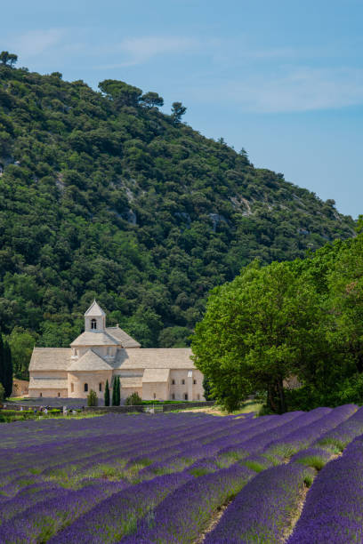 istock Senanque Abbey Gordes Provence Lavender fields, Notre-Dame de Senanque 1618104560