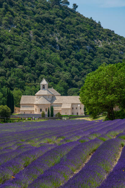 istock Senanque Abbey Gordes Provence Lavender fields, Notre-Dame de Senanque 1618104599
