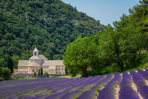istock Senanque Abbey Gordes Provence Lavender fields, Notre-Dame de Senanque 1618110318