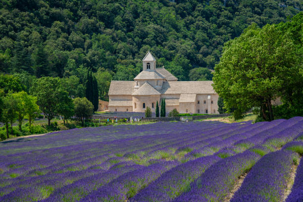 Senanque Abbey Gordes Provence Lavender fields, Notre-Dame de Senanque