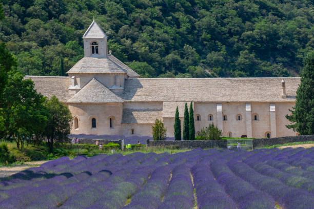 istock Senanque Abbey Gordes Provence Lavender fields, Notre-Dame de Senanque 1618110321