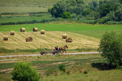 Viscri, Brașov, România - July 03, 2022: A horse carriage in the landscape of viscri