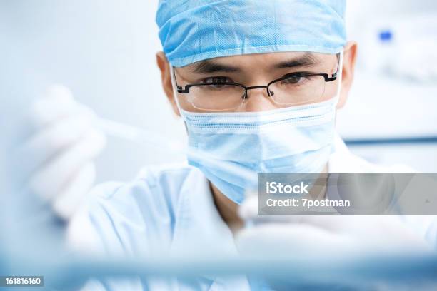 Arbeiten Im Labor Stockfoto und mehr Bilder von Grippevirus - Grippevirus, Labor, Untersuchen
