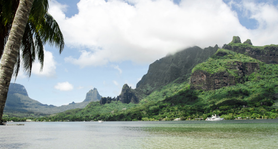 A view from the main road on Moorea where it circles Cook's Bay.