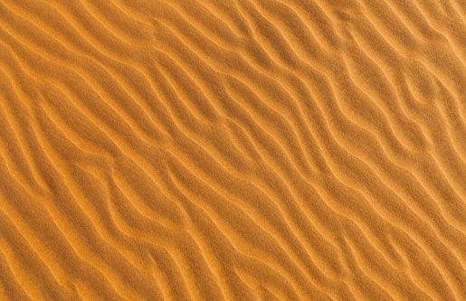 Desert sand dunes, United Arab Emirates
