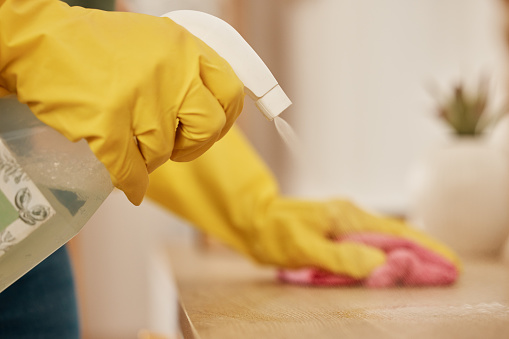 Hand, spray and a woman cleaning a wooden surface in her home for hygiene or disinfection. Rubber gloves, product and bacteria with a female cleaner using detergent to spring clean in an apartment