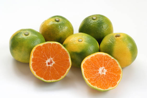 istock Gokuwase Mikan on White Background 1618184043