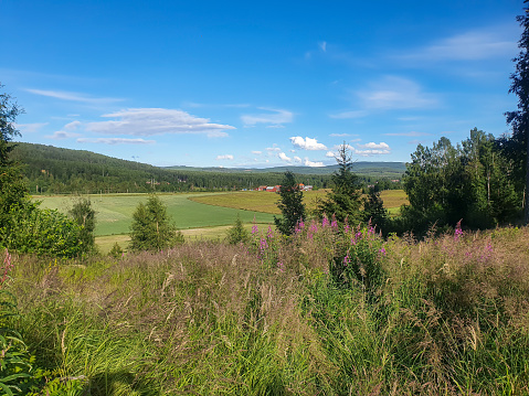 View over meadow and hills in Hälsingland