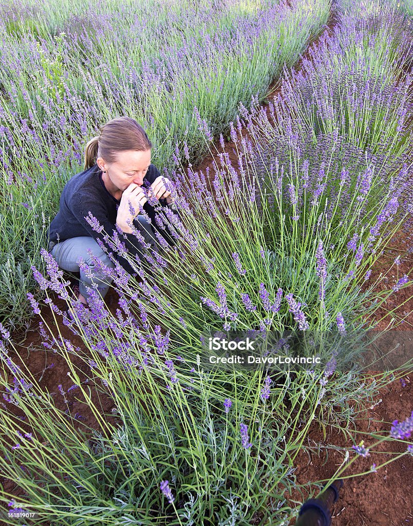 Tappo lavanda bellezza - Foto stock royalty-free di Adulto