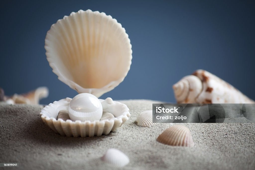 Subacqueo - Foto stock royalty-free di Perla - Ostrica