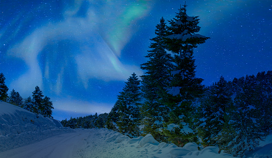 Fantastic winter landscape with pine tree in snowy mountains and northen light in the sky