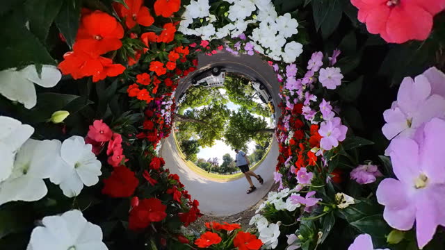 Man walking in abstract space surrounded by flowers.
