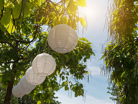 White lanterns, in a row, hang between trees with green leaves. The sun shines from the slightly cloudy sky.