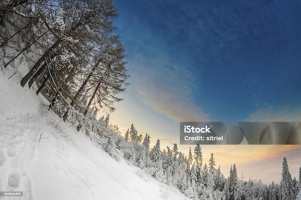 Piękny Zimowy wschód słońca zdjęcie w góry - Zbiór zdjęć royalty-free (Bez ludzi)
