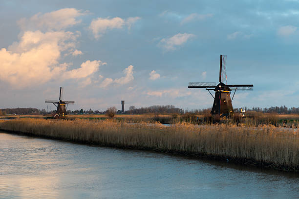 ветряные мельницы - polder windmill space landscape стоковые фото и изображения