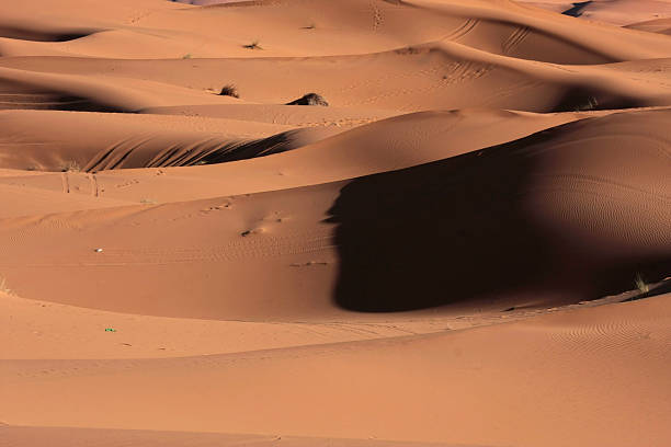 vista sulle dune di sabbia del deserto - heat haze illusion desert heat foto e immagini stock