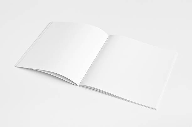 istock Blank Magazine Brochure Isolated 161825358