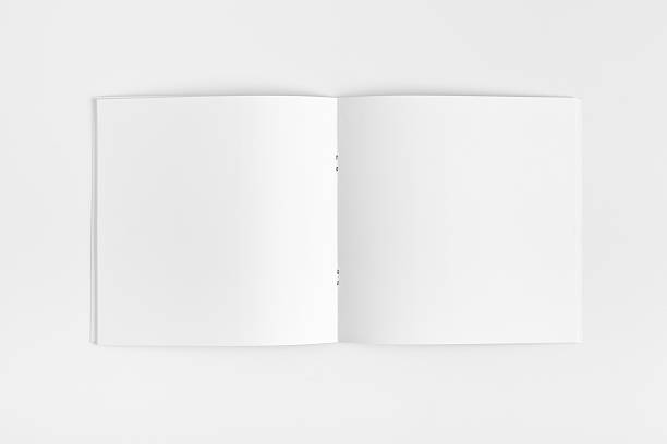 istock Blank Magazine Brochure Isolated 161825482
