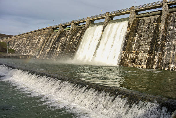 istock Swamp full of water 161826864