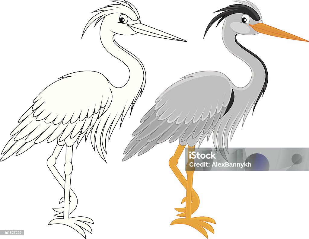 Heron Grey heron, color and black and white outline vector illustrations Heron stock vector