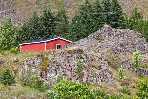 istock East Iceland Nature Landscape with House 161829285