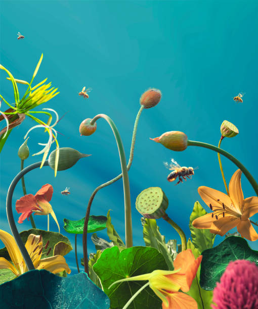 sunny plants and flowers with flying bees at blue sky background