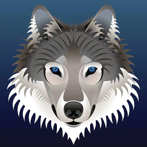 Vector illustration of Realistic wolf's face