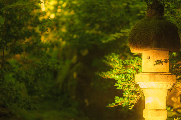 Kyoto garden scenery in summer