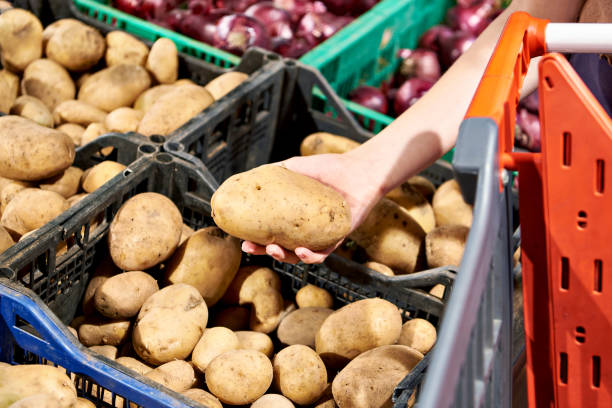Potatoes in hands of buyer in shop stock photo