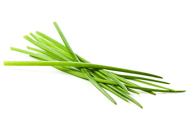Fresh chives Heap of fresh chives on white background. Find similar images here: http://images.dpchallenge.com/images_portfolio/45000-49999/49109/800/Copyrighted_Image_Reuse_Prohibited_671843.jpg chive photos stock pictures, royalty-free photos & images